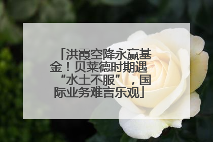 洪霞空降永赢基金！贝莱德时期遇“水土不服”，国际业务难言乐观