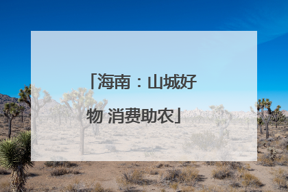 海南：山城好物 消费助农