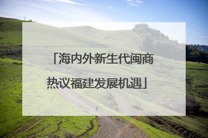 海内外新生代闽商热议福建发展机遇