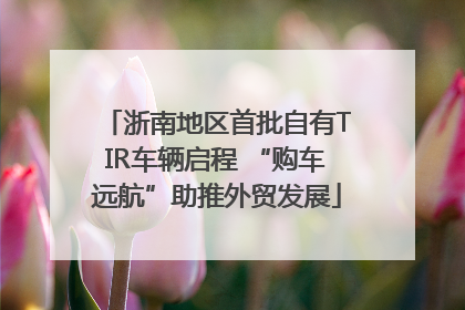 浙南地区首批自有TIR车辆启程 “购车远航”助推外贸发展