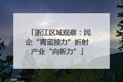 浙江区域观察：民企“青蓝接力”折射产业“向新力”