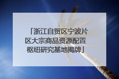 浙江自贸区宁波片区大宗商品资源配置枢纽研究基地揭牌