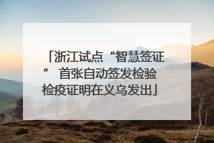 浙江试点“智慧签证” 首张自动签发检验检疫证明在义乌发出