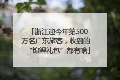 浙江迎今年第500万名广东旅客，收到的“锦鲤礼包”都有啥