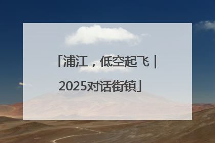 浦江，低空起飞｜2025对话街镇