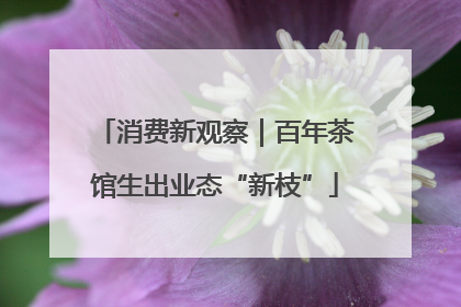 消费新观察｜百年茶馆生出业态“新枝”