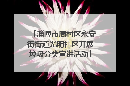 淄博市周村区永安街街道光明社区开展垃圾分类宣讲活动