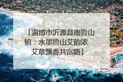 淄博市沂源县南鲁山镇：水墨鲁山艾韵浓 艾草飘香共富路
