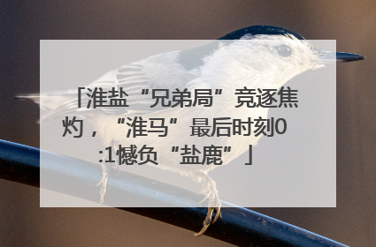 淮盐“兄弟局”竞逐焦灼，“淮马”最后时刻0:1憾负“盐鹿”