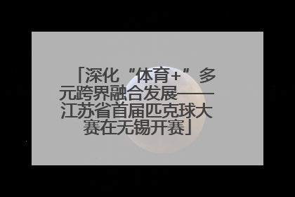 深化“体育+”多元跨界融合发展——江苏省首届匹克球大赛在无锡开赛