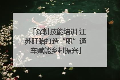 深耕技能培训 江苏盱眙打造“职”通车赋能乡村振兴