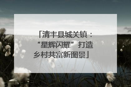 清丰县城关镇：“星辉闪耀”打造乡村共富新图景