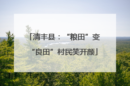 清丰县：“粮田”变“良田”村民笑开颜