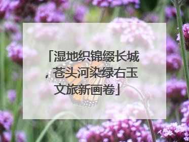 湿地织锦缀长城，苍头河染绿右玉文旅新画卷