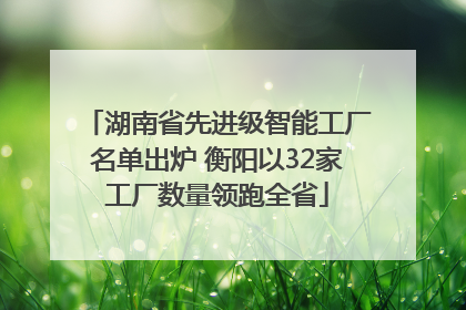 湖南省先进级智能工厂名单出炉 衡阳以32家工厂数量领跑全省