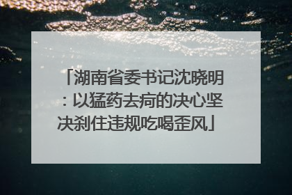 湖南省委书记沈晓明：以猛药去疴的决心坚决刹住违规吃喝歪风