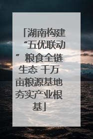 湖南构建“五优联动”粮食全链生态 千万亩粮源基地夯实产业根基