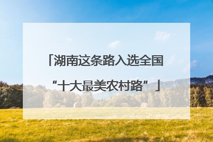 湖南这条路入选全国“十大最美农村路”
