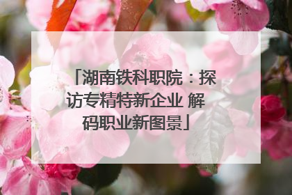 湖南铁科职院：探访专精特新企业 解码职业新图景