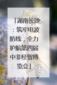湖南长沙：筑牢电波防线，全力护航第四届中非经贸博览会