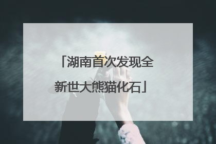 湖南首次发现全新世大熊猫化石