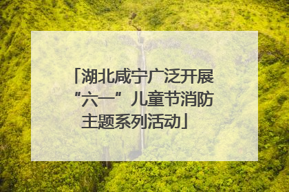 湖北咸宁广泛开展“六一”儿童节消防主题系列活动