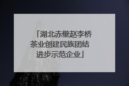 湖北赤壁赵李桥茶业创建民族团结进步示范企业