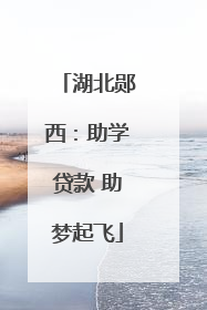 湖北郧西：助学贷款 助梦起飞