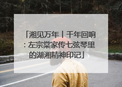 湘见万年丨千年回响：左宗棠家传七弦琴里的湖湘精神印记