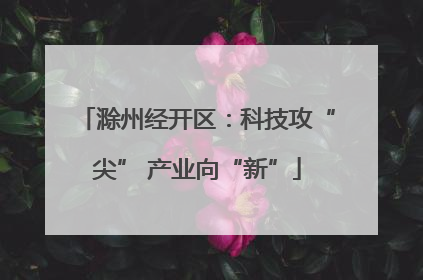 滁州经开区：科技攻“尖” 产业向“新”