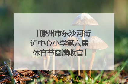 滕州市东沙河街道中心小学第六届体育节圆满收官