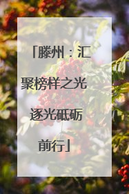 滕州：汇聚榜样之光 逐光砥砺前行