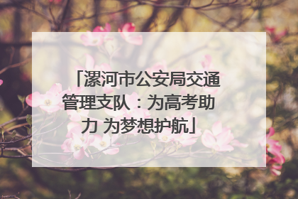 漯河市公安局交通管理支队：为高考助力 为梦想护航