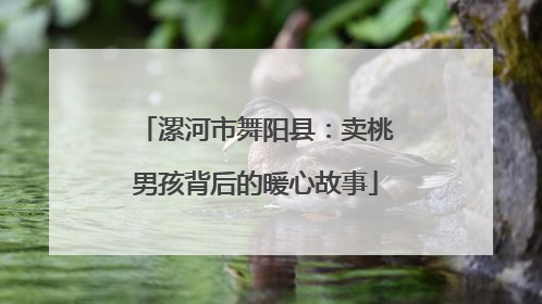 漯河市舞阳县：卖桃男孩背后的暖心故事