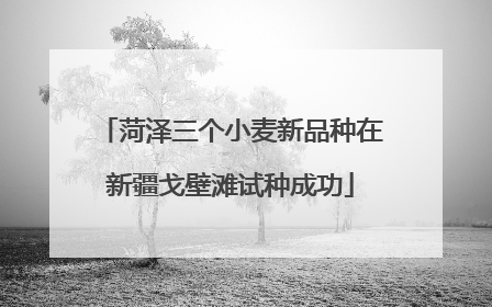 菏泽三个小麦新品种在新疆戈壁滩试种成功