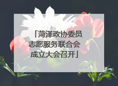 菏泽政协委员志愿服务联合会成立大会召开
