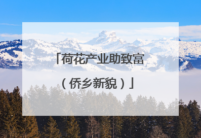 荷花产业助致富（侨乡新貌）