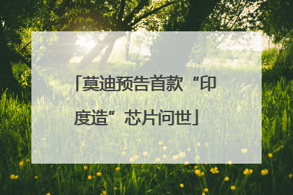 莫迪预告首款“印度造”芯片问世
