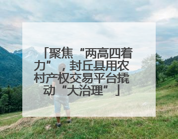 聚焦“两高四着力”，封丘县用农村产权交易平台撬动“大治理”