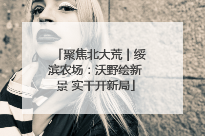 聚焦北大荒｜绥滨农场：沃野绘新景 实干开新局