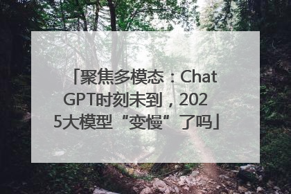 聚焦多模态：ChatGPT时刻未到，2025大模型“变慢”了吗