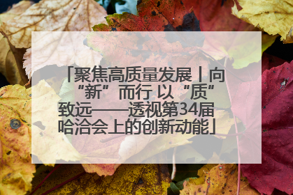 聚焦高质量发展丨向“新”而行 以“质”致远——透视第34届哈洽会上的创新动能