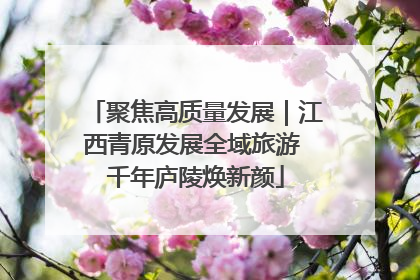 聚焦高质量发展｜江西青原发展全域旅游 千年庐陵焕新颜