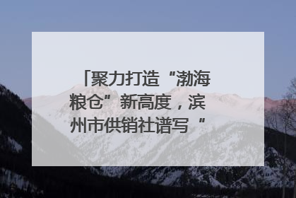 聚力打造“渤海粮仓”新高度，滨州市供销社谱写“三夏”丰收乐章