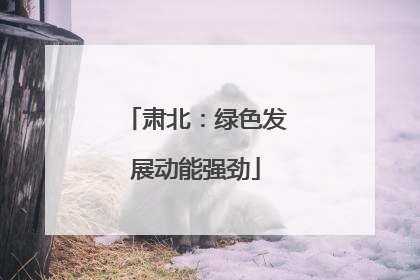 肃北：绿色发展动能强劲