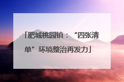 肥城桃园镇：“四张清单”环境整治再发力