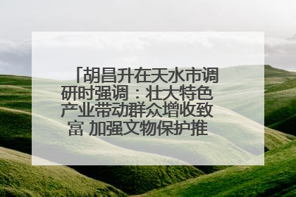 胡昌升在天水市调研时强调：壮大特色产业带动群众增收致富 加强文物保护推动文化创新发展