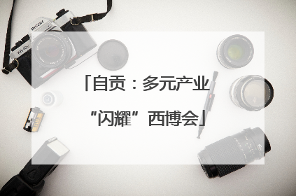 自贡：多元产业“闪耀”西博会