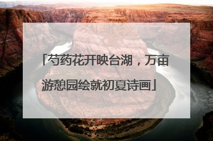 芍药花开映台湖，万亩游憩园绘就初夏诗画