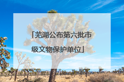 芜湖公布第六批市级文物保护单位